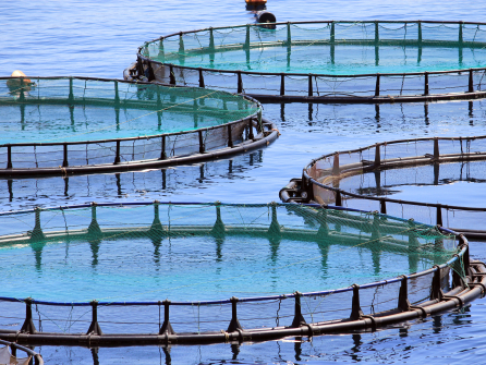 Aquaculture